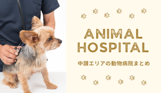 中讃エリアの動物病院まとめ！夜間当番医の受診方法と病院一覧をチェック！